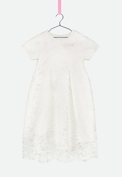 Lace Mesh Ruffle Sleeve Dress