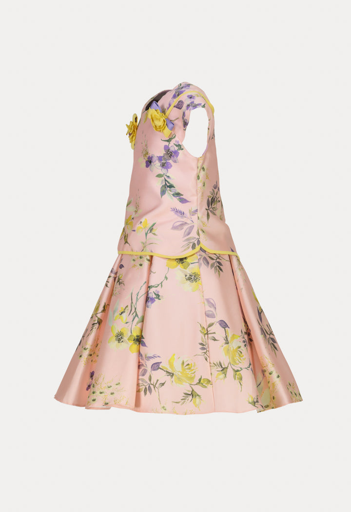 Pleated Printed Dress