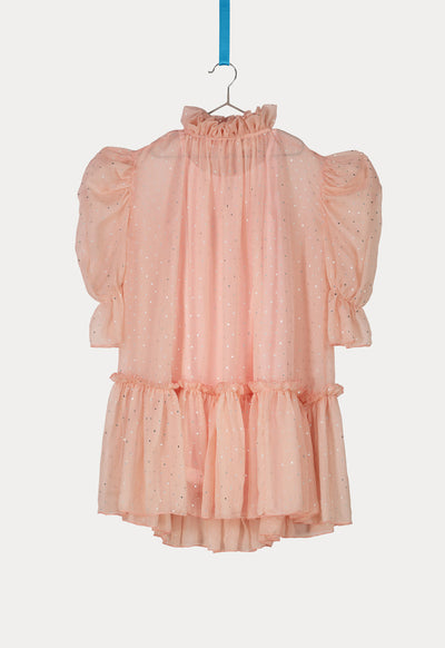 Ruffle Neckline Organza Dress