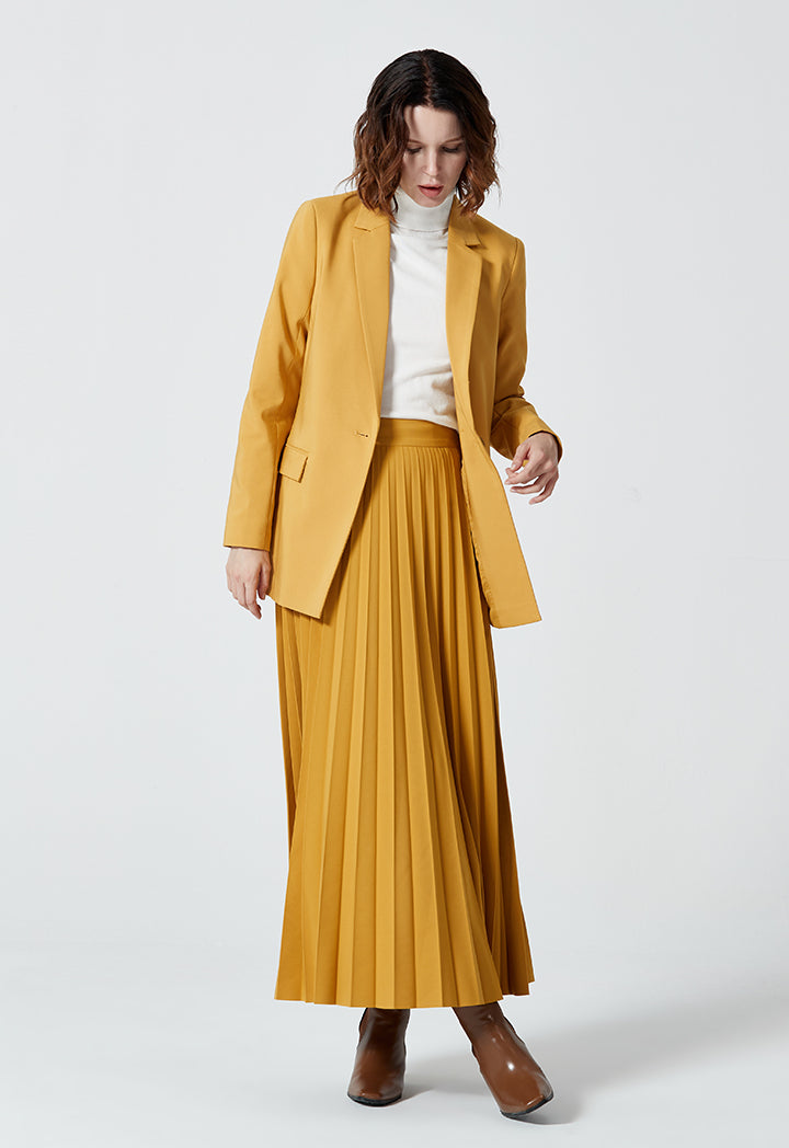 Even Pleated Classic Fit Solid Skirt