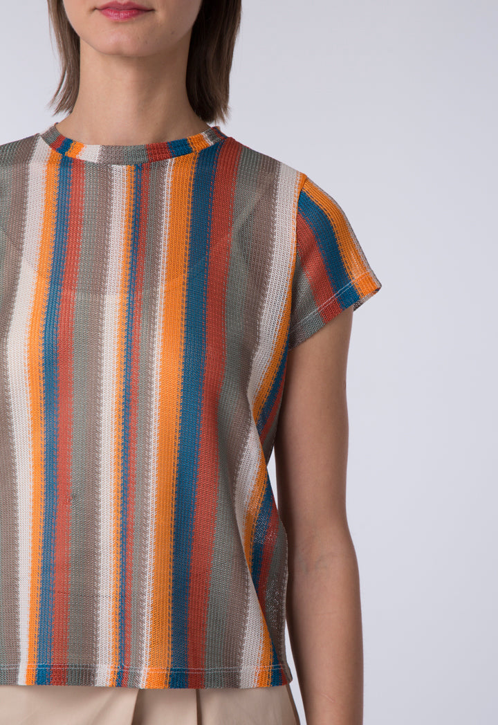 Vertical Multicolor Stripe T-Shirt