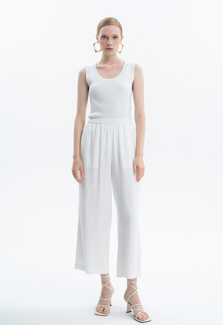 Ankle Length Textured Solid Pants