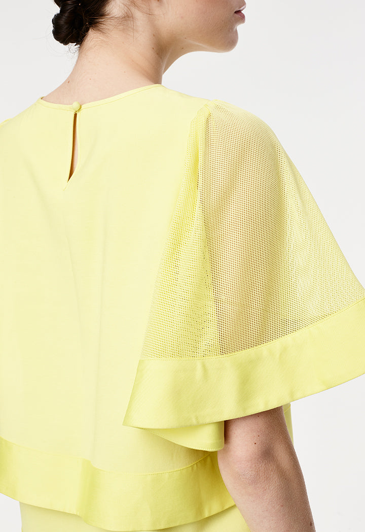 Net Sleeved Blouse