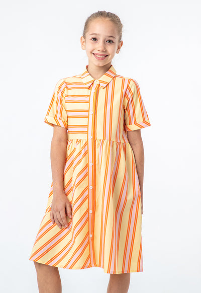 Collared All Over Striped Cotton Flared Dress
