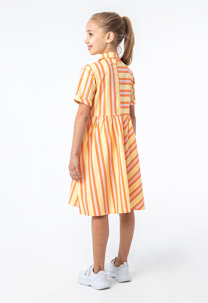 Collared All Over Striped Cotton Flared Dress