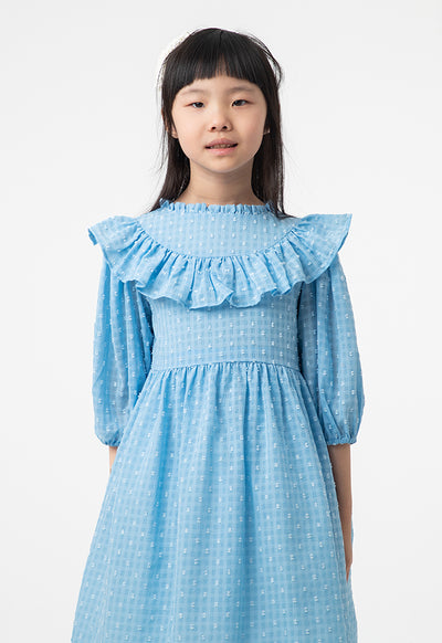 Frilled Textured A-Line Lined Midi Dress