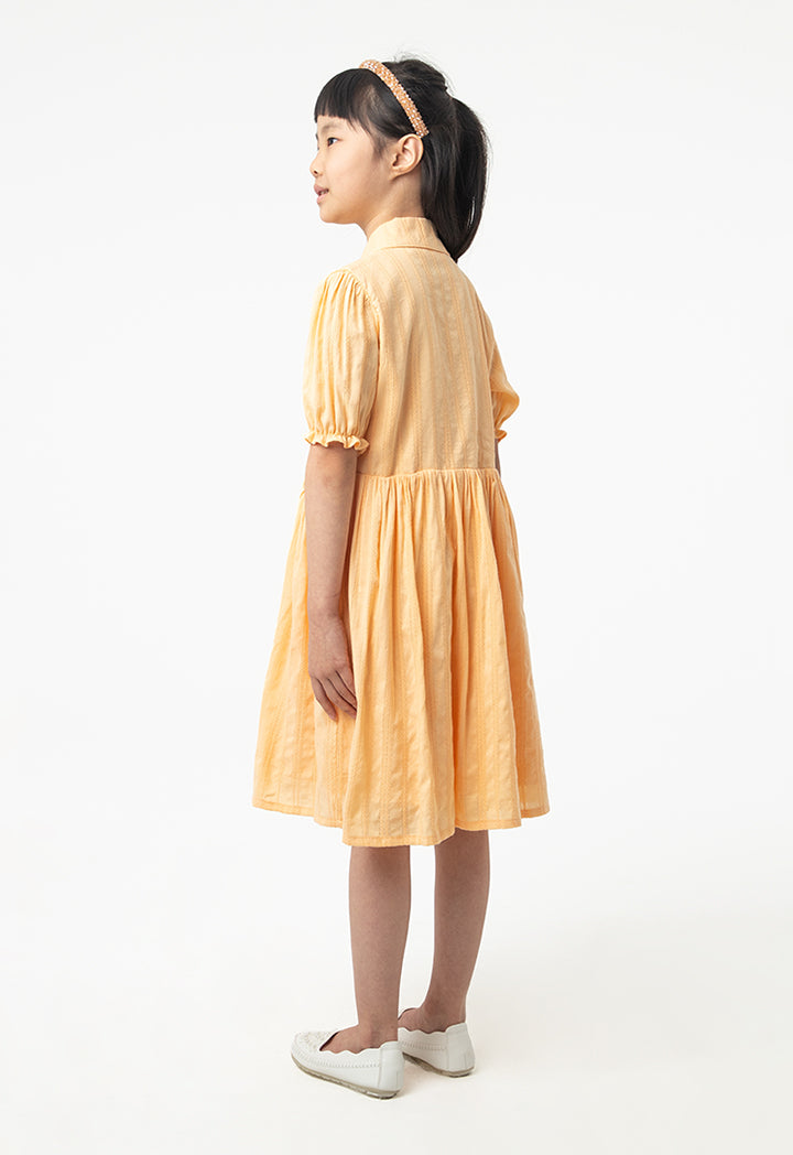 Solid Collared Drop Waist Casual Dress