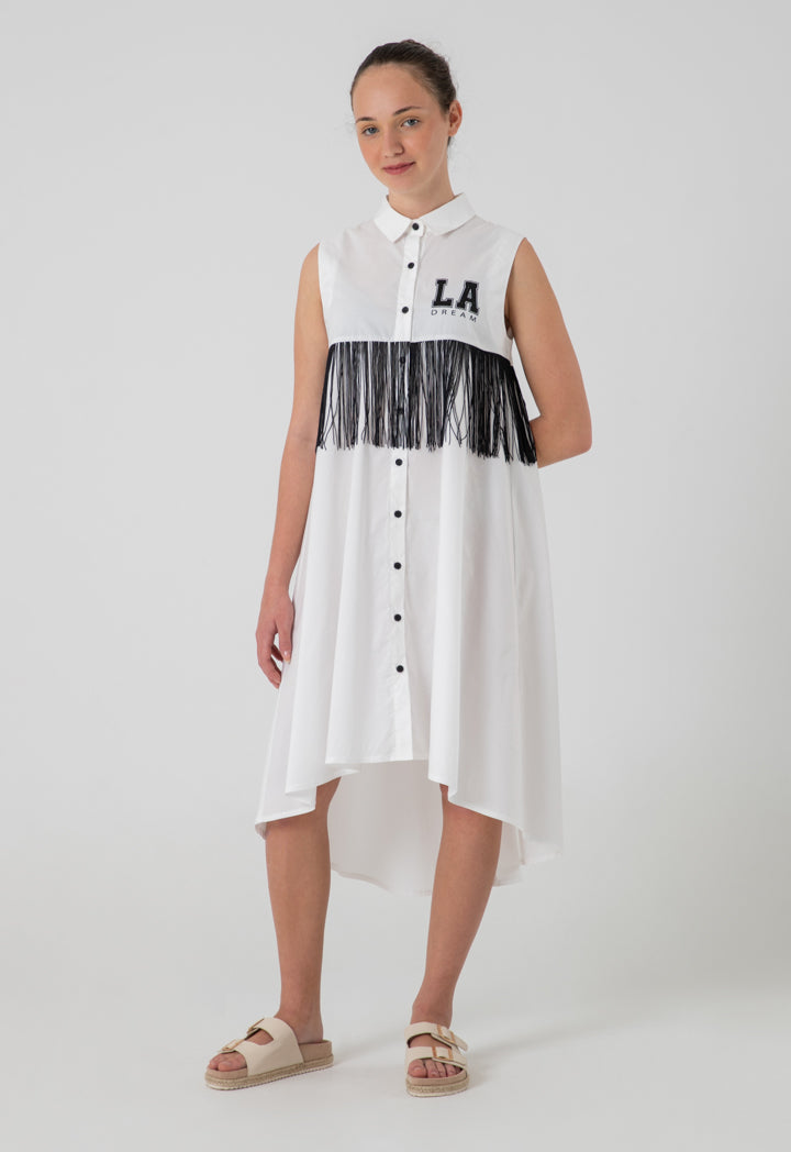 Fringes Yoke Sleeveless Dress